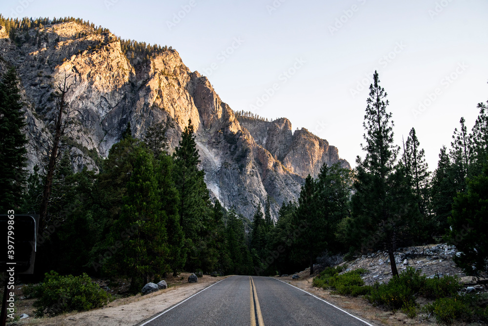 Naklejka premium road leading to kings canyon national park