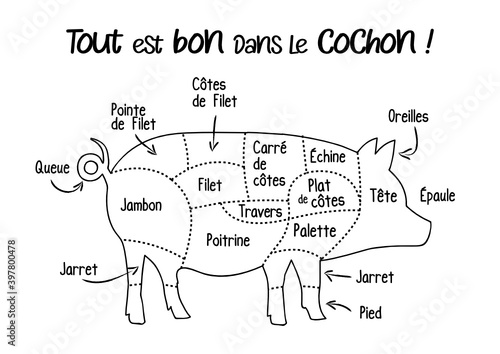 Le porc, cochon: boucherie pièces de viande de porc, schéma découpe du cochon en français, illustration, croquis