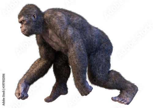 Fototapeta Naklejka Na Ścianę i Meble -  3D Rendering Gorilla Ape on White