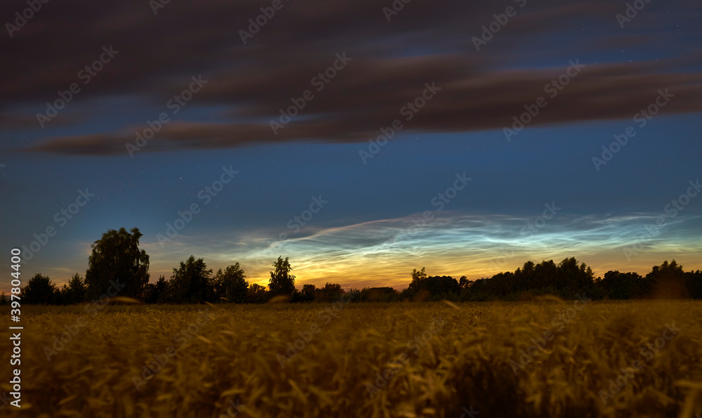silvery clouds at night over the cereal fields