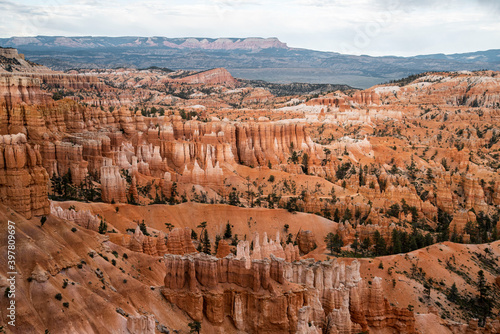 red towering hoodoos in Bryce Canyon National Park