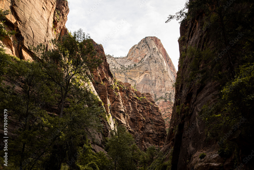 massive red rocks towering above zion national park