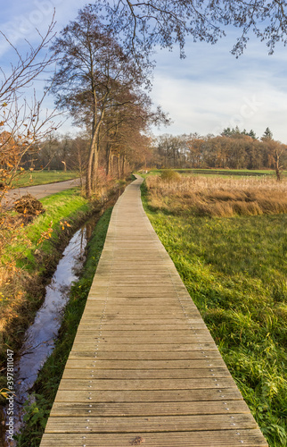 Wooden boardwalk in the nature area of Oudemolen, Netherlands © venemama
