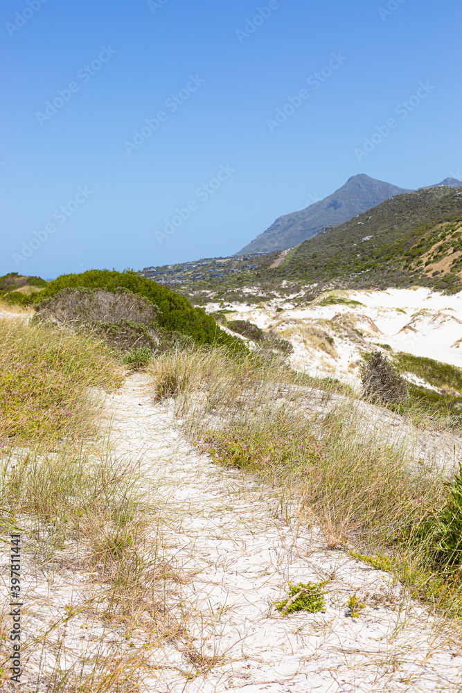 Coastal sand dune landscape of Fish Hoek, Cape Town Coastal sand dune landscape of Fish Hoek, Cape Town