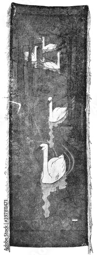 Foto Carpet with swans by German painter of Otto Eckmann