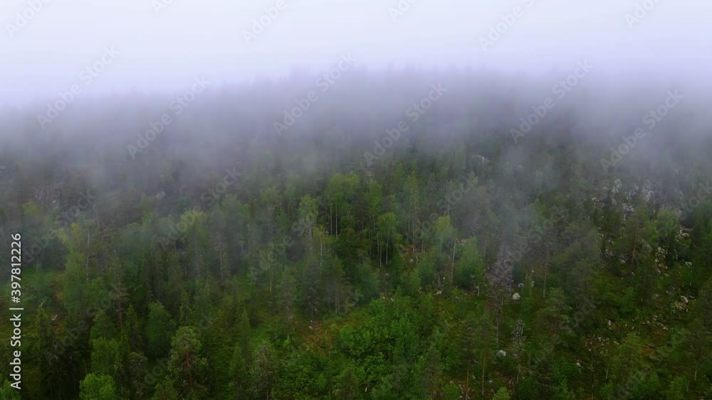 Aerial view over foggy, polar woods, dark, mysterious day, in Scandinavia - pan, drone shot Aerial view over foggy, polar woods, dark, mysterious day, in Scandinavia - pan, drone shot