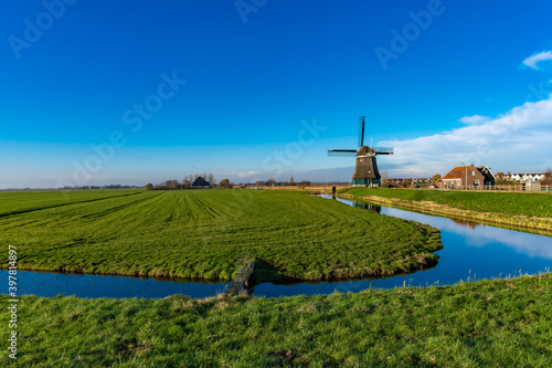 greenfield around the windmill in Volendam