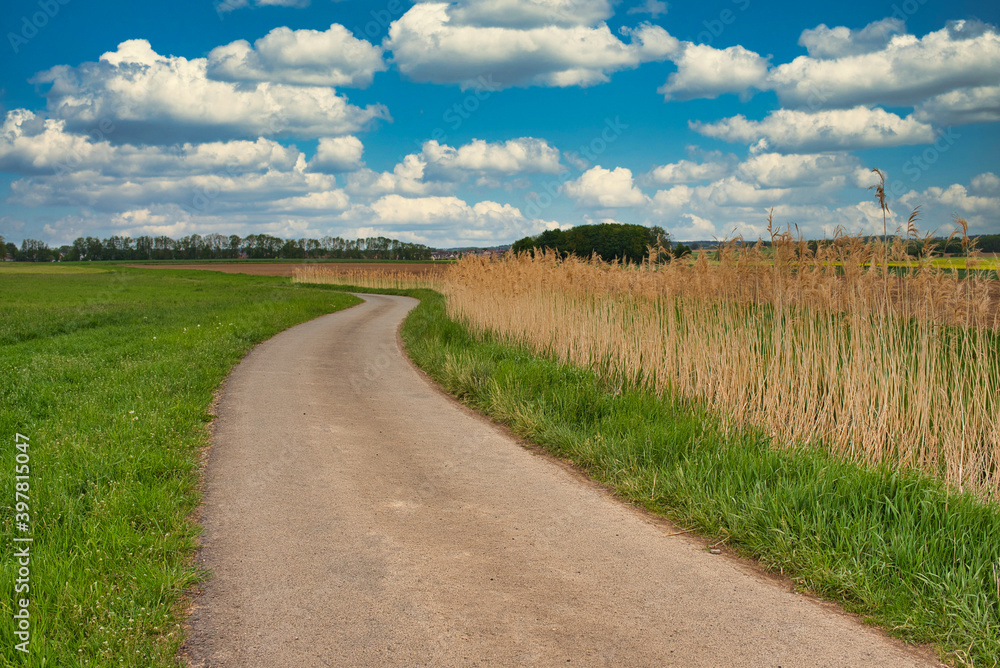 Feldweg durch felder mit Schilf im Herbst Feldweg durch felder mit Schilf im Herbst