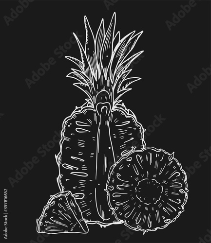 Composition of a whole pineapple and a half cut of fruit on a background. White chalk outline image on a black background. Doodle style.