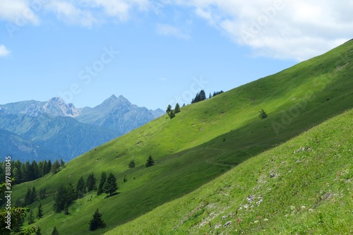 landscape with grass and mountains