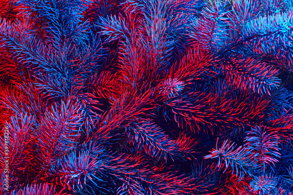 Christmas tree branches are illuminated by neon light