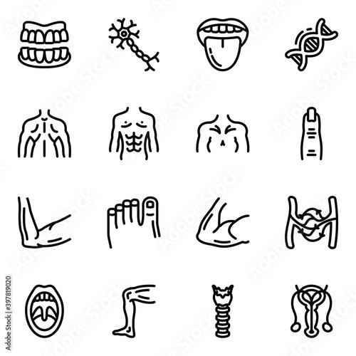 
Body Anatomy Solid Icons Pack 
