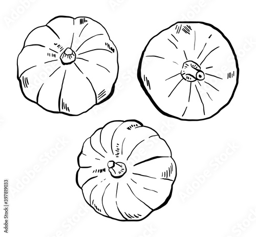 Set of Hand drawn Pumpkins  Vector Illustrations