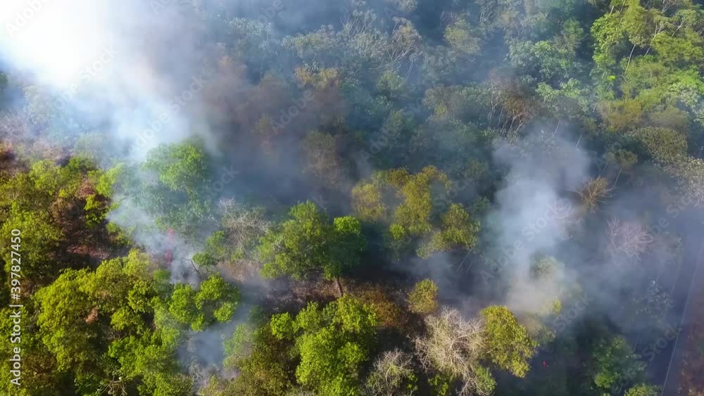 Aerial view around a wildfire, smoking trees near a road and houses, in tropical forests of Africa - orbit, drone shot Aerial view around a wildfire, smoking trees near a road and houses, in tropical forests of Africa - orbit, drone shot
