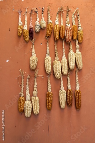 corn cobs hanging on wall