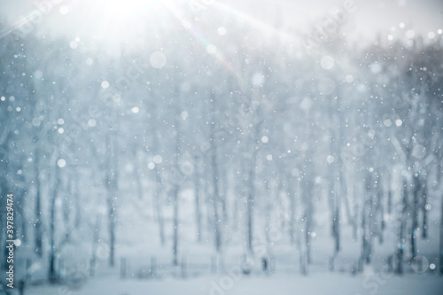 Snowflakes falling on background blurred winter landscape. Defocus blue lights.