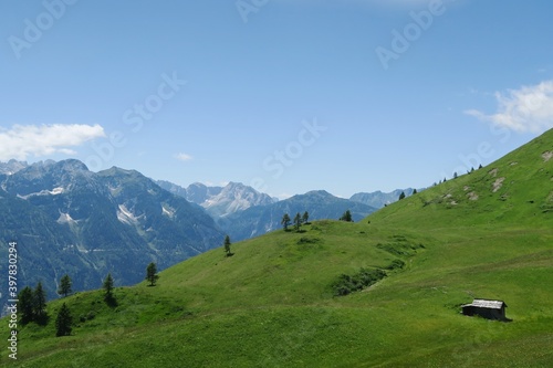meadow in the mountains