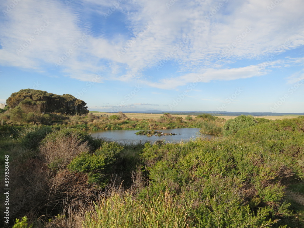 landscape with lake, fields bush, sky 