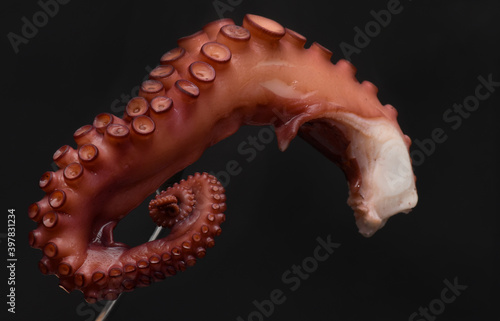 cooked octopus

