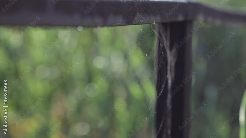Spider net floating in the wind against green plants background Spider net floating in the wind against green plants background