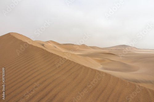 Waves in the sand dunes south of Swakopmund during a living desert tour  very interesting to see what lives in these desolate areas