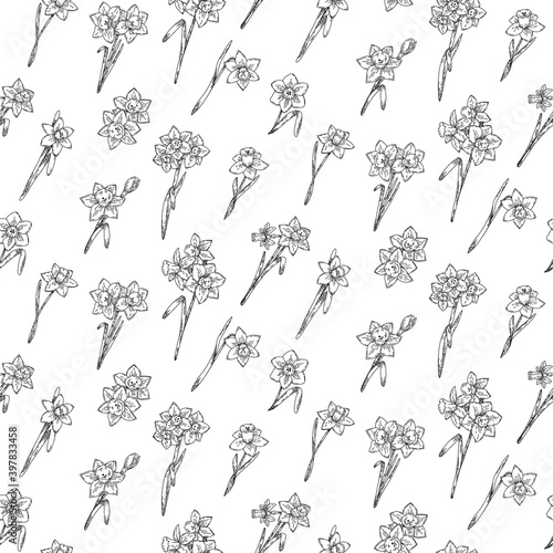 Fototapeta Naklejka Na Ścianę i Meble -  Daffodil flowers seamlessly pattern. Graphic doodle hand drawn sketch style. Botanical illustration for packaging, menu cards, posters, prints.	