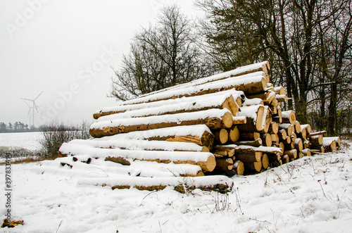 Pile of logs covered by snow during foggy winter day. High quality photo photo
