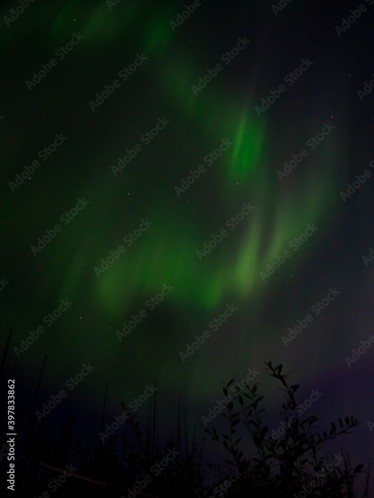 Naklejka premium Northern Lights 