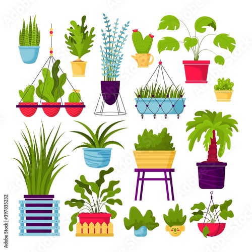 Collection of decorative houseplants isolated on white, vector illustration. Bundle of indoor plants growing in pots or planters. Set of beautiful natural home decorations with noise texture
