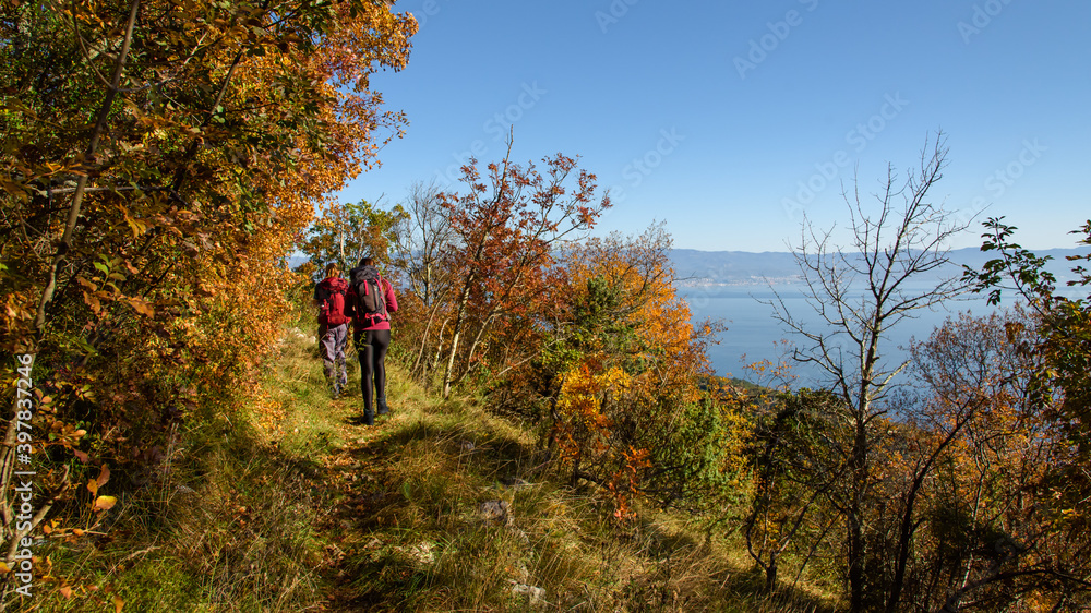 Beautiful autumnal mountain landscape with reddish leaves on the trees and bushes; in the background blue sea and island Krk, and two people hiking; soft focus