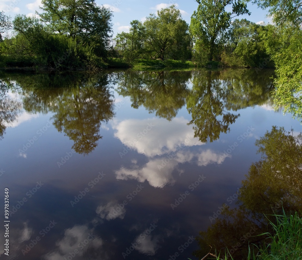 Trees on the river bank and blue sky with white clouds reflecting on the water surface