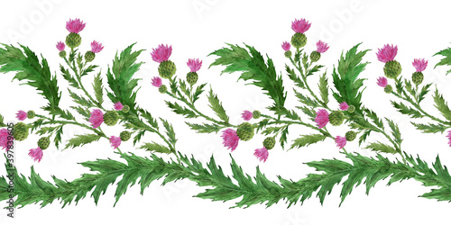 Watercolor seamless borders with stylized twigs, flowers and leaves of the Thistle plant 