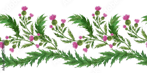 Watercolor seamless  borders with stylized twigs, flowers and leaves of the Thistle plant

