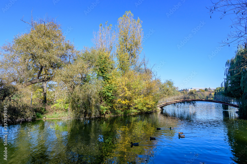 Landscape with grey old bridge and many large green and yellow old trees near the lake in a sunny autumn day in Tineretului Park in Bucharest, Romania .