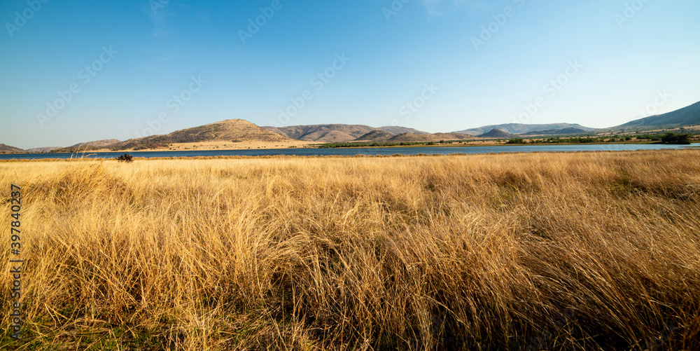 Parc national du Pilanesberg, Afrique du Sud Parc national du Pilanesberg, Afrique du Sud