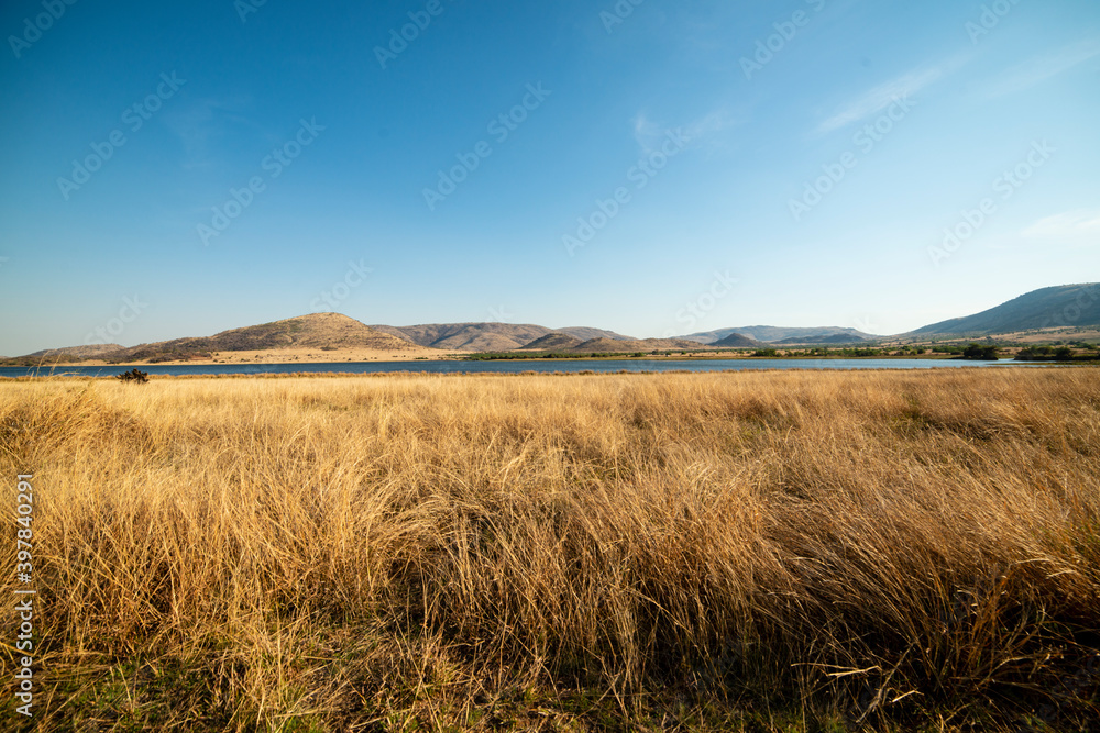 Parc national du Pilanesberg, Afrique du Sud Parc national du Pilanesberg, Afrique du Sud