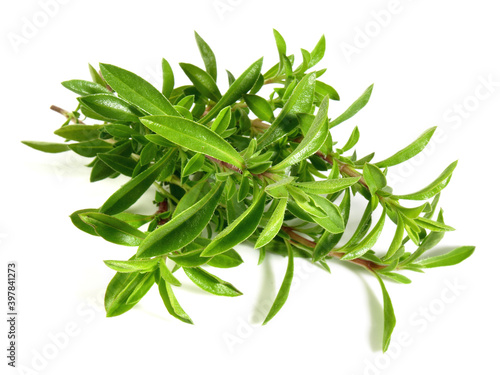 Savory Herbs on white Background Isolated