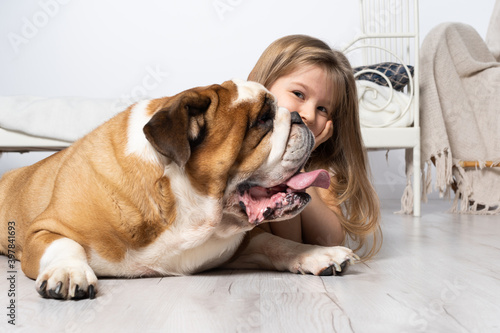 A young girl in a bedroom, sitting on the floor with her dog and stroking him. Child and dog. The English Bulldog is a purebred dog with a pedigree.