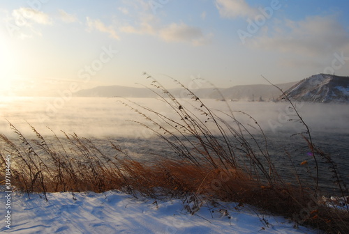 Fototapeta Naklejka Na Ścianę i Meble -  reeds in the morning