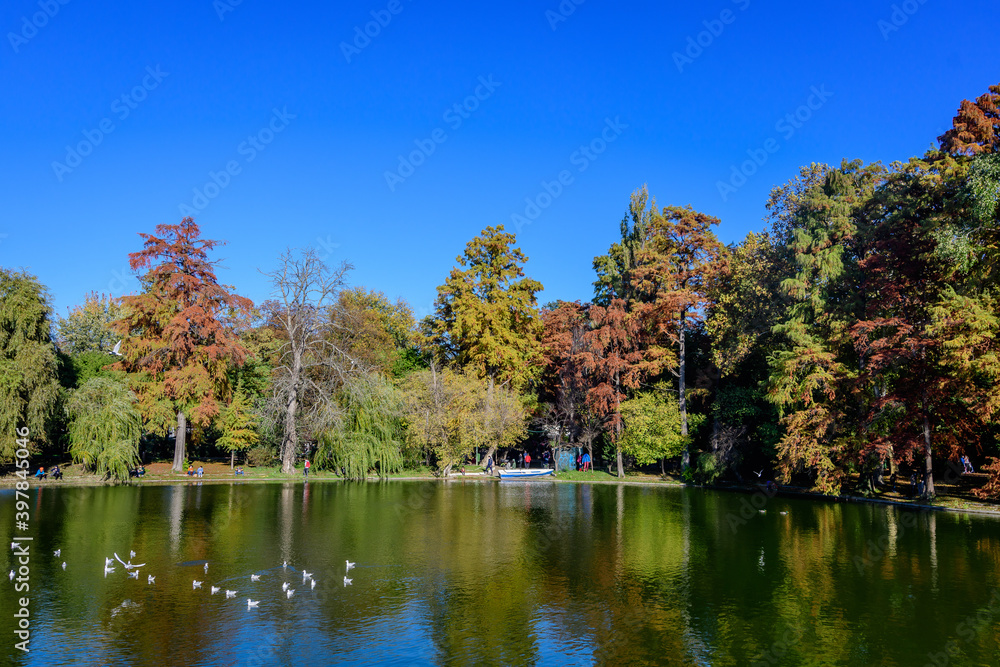 Landscape with many large green trees near the lake in Carol Park in Bucharest, Romania, in a sunny autumn day. Landscape with many large green trees near the lake in Carol Park in Bucharest, Romania, in a sunny autumn day.