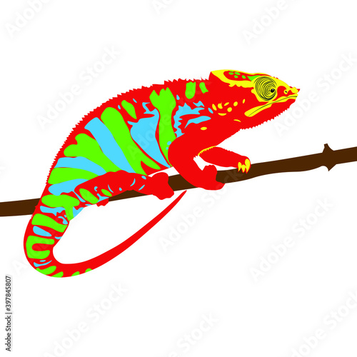 chameleon on a branch on white background