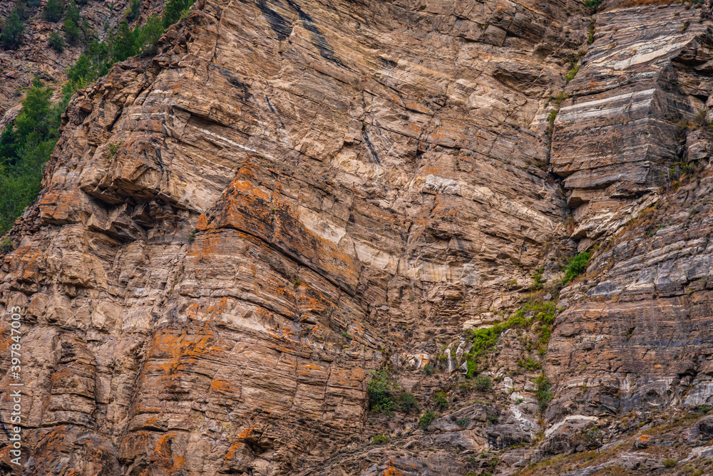 Strata of Limestone rocks, it is a sedimentary rock forms when layers of skeletal fragments of marine organisms accumulates by sedimentation then uplifted in folded mountains Himalayas by tectonics. Strata of Limestone rocks, it is a sedimentary rock forms when layers of skeletal fragments of marine organisms accumulates by sedimentation then uplifted in folded mountains Himalayas by tectonics.