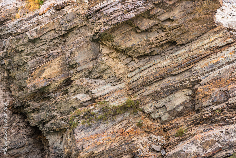 Strata of Mudrocks, it is a silicicastic sedimentary rock include