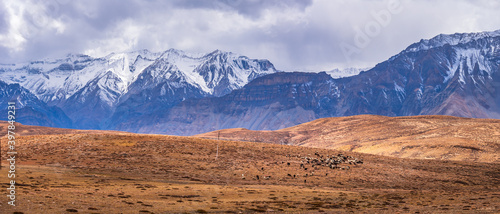 Panoramic Landscape of Spiti valley with snow capped mountains in background near agriculture fields of Hikkim and Komic village of Kaza town in Lahaul and Spiti district of Himachal Pradesh, India. photo