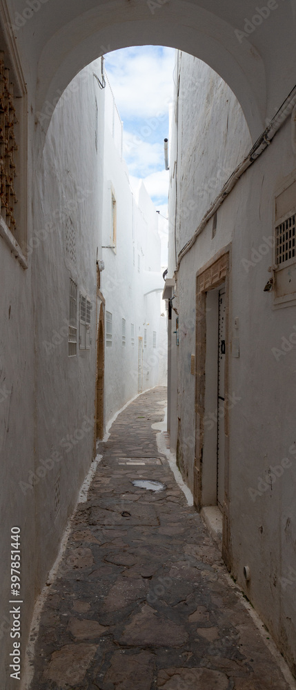 Narrow lane in medina of Hammamet town, Tunisia. Traditional architecture in North Africa.