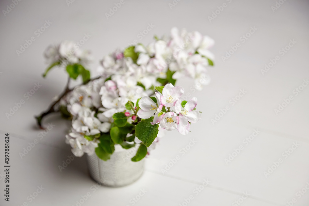 White flowers in pot