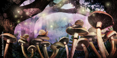 Obraz na plátně Fantasy world