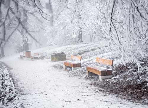 Wallpaper Mural Bench in the public park in winter Torontodigital.ca