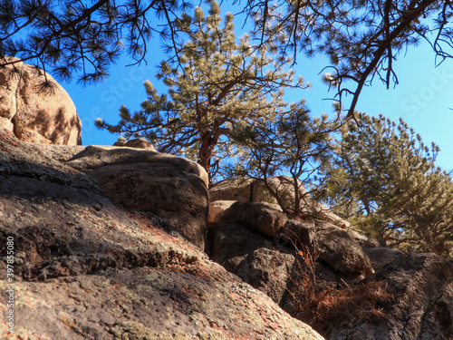 Mountain Hike In The Flatirons 