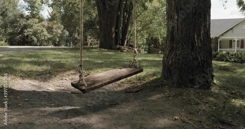 Back yard of a beautiful cottage with a push through a rope swing at the Strathmere Resort in Ottawa, Canada. photo